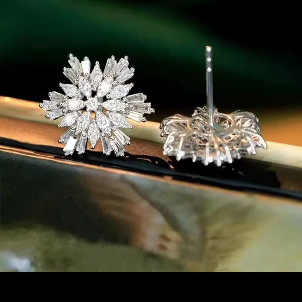 Radiant Silver Burst Earrings - Picture 3 of 5